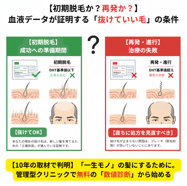 初期脱毛か再発(進行)か?血液データが証明する抜けていい毛の条件